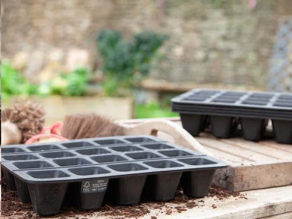 Alternative text should describe the visual content of the image.