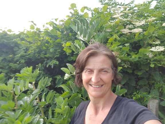 Alternative text should describe the visual content of the image.