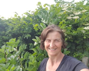 Alternative text should describe the visual content of the image.