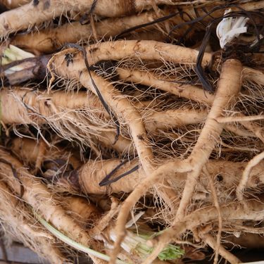 Alternative text should describe the visual content of the image.