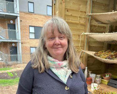 Alternative text should describe the visual content of the image.