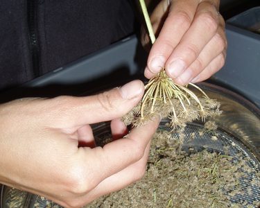 Alternative text should describe the visual content of the image.