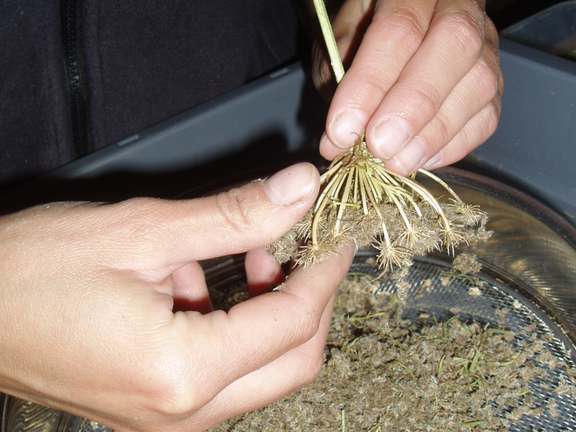 Alternative text should describe the visual content of the image.