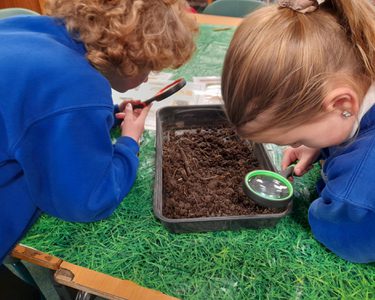 Alternative text should describe the visual content of the image.