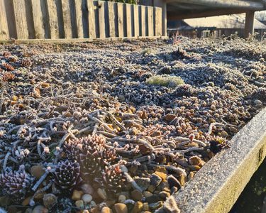 Alternative text should describe the visual content of the image.