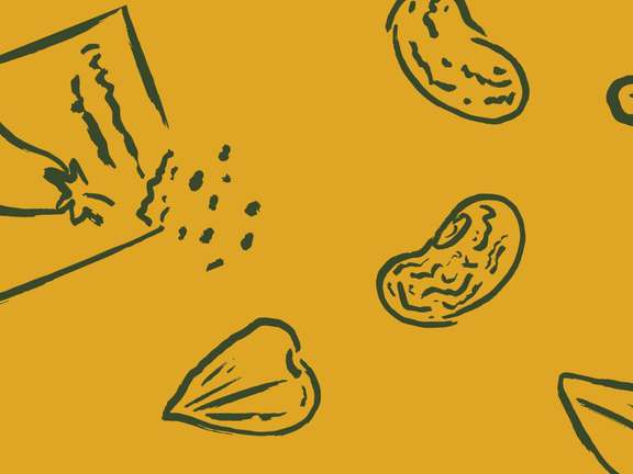 Alternative text should describe the visual content of the image.