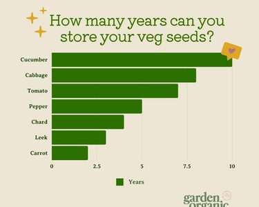 Alternative text should describe the visual content of the image.