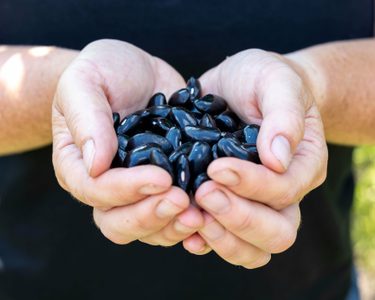 Alternative text should describe the visual content of the image.