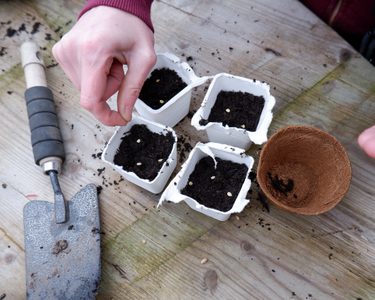 Alternative text should describe the visual content of the image.