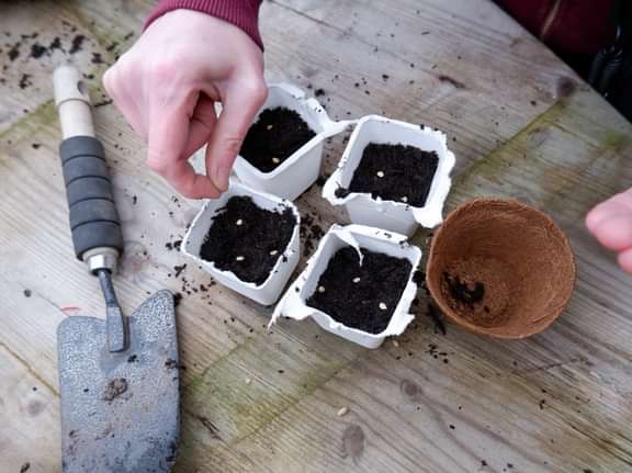 Alternative text should describe the visual content of the image.