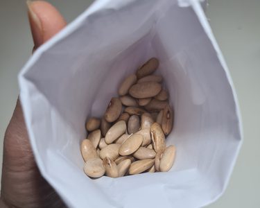 Alternative text should describe the visual content of the image.