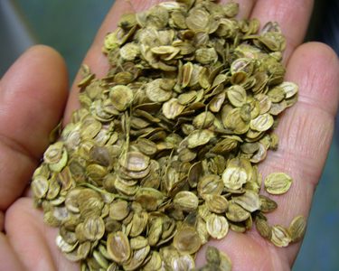 Alternative text should describe the visual content of the image.