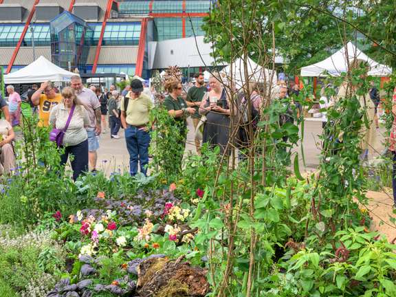 Alternative text should describe the visual content of the image.