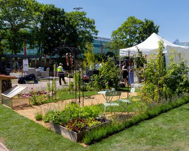 Alternative text should describe the visual content of the image.