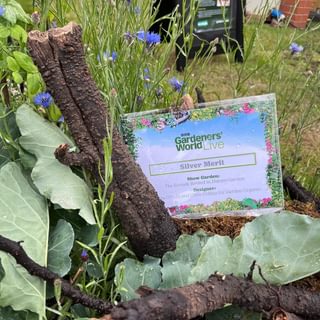 Alternative text should describe the visual content of the image.