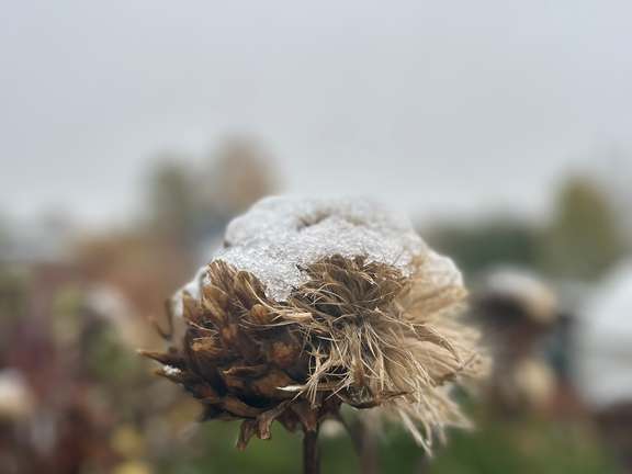 Alternative text should describe the visual content of the image.