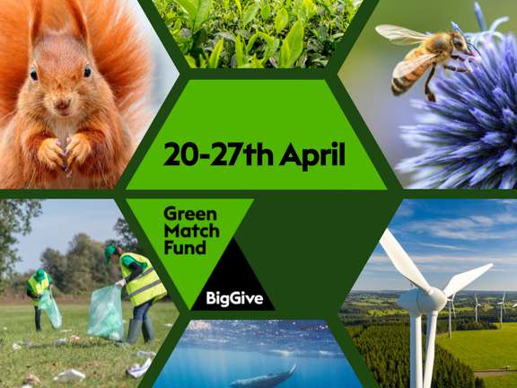 Alternative text should describe the visual content of the image.