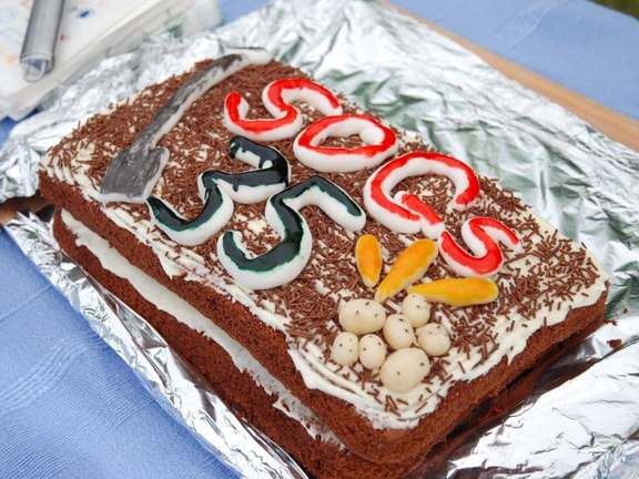 Alternative text should describe the visual content of the image.