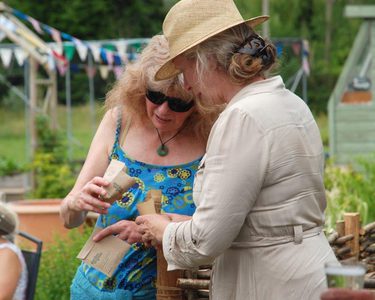 Alternative text should describe the visual content of the image.