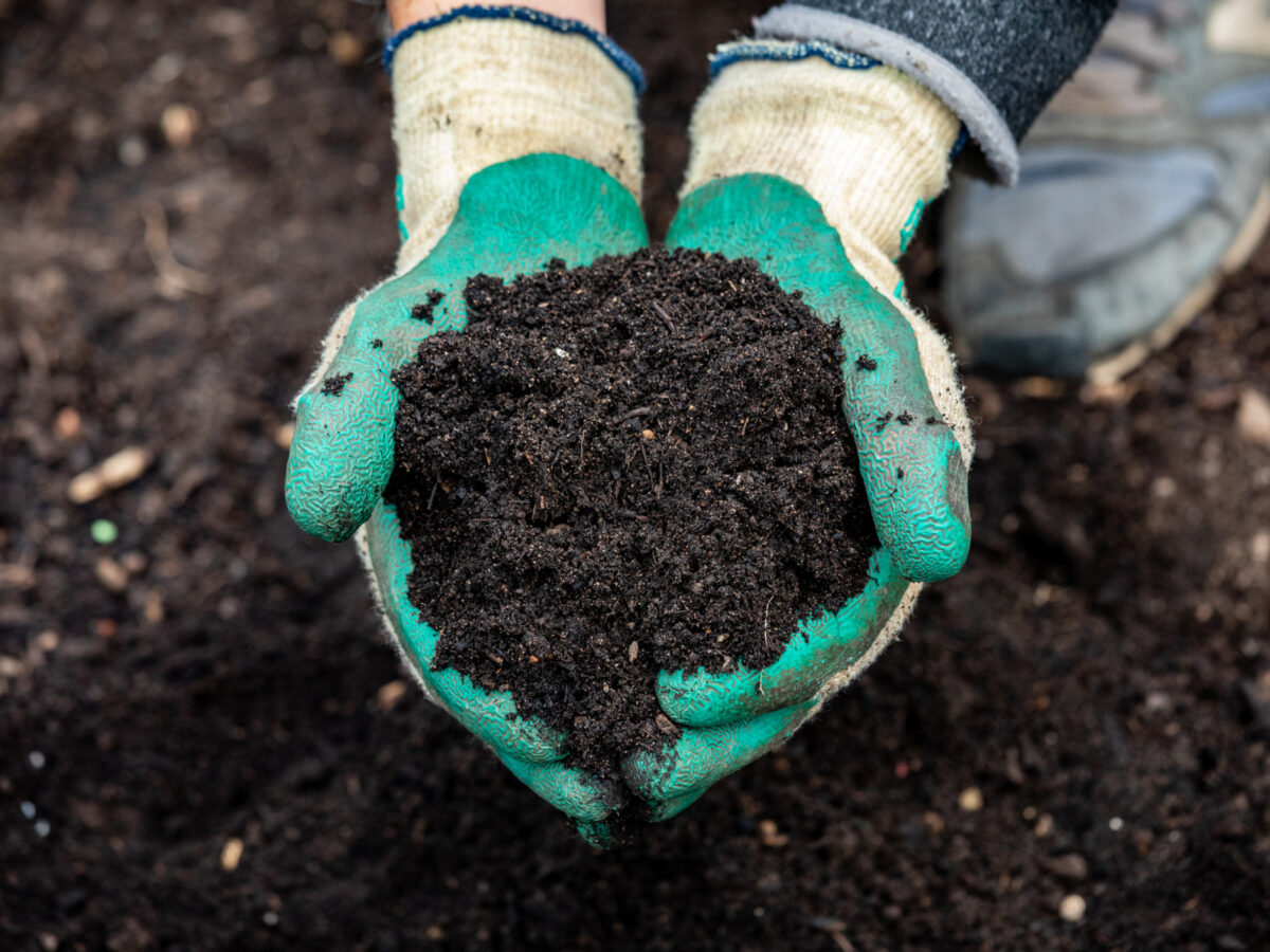 Soil information pack