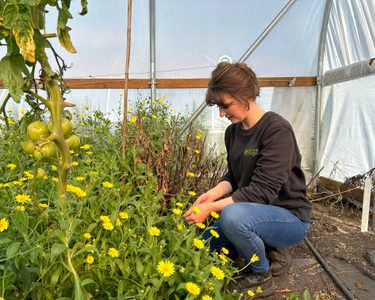 Alternative text should describe the visual content of the image.