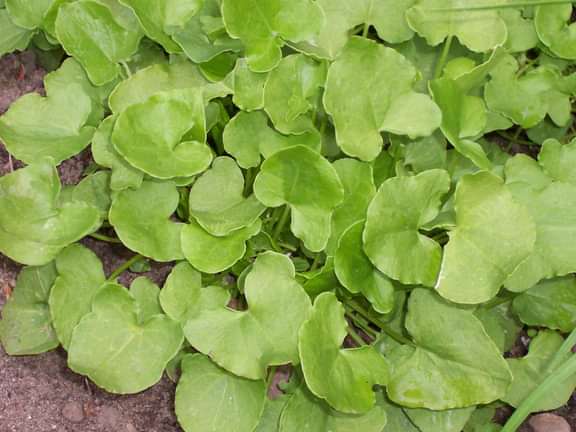 Alternative text should describe the visual content of the image.