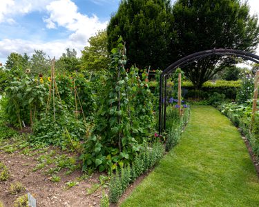 Alternative text should describe the visual content of the image.