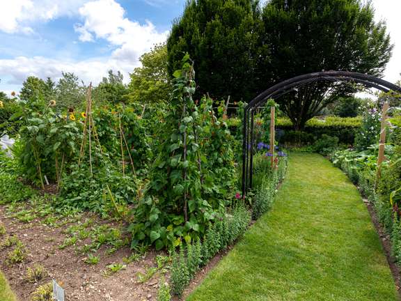 Alternative text should describe the visual content of the image.