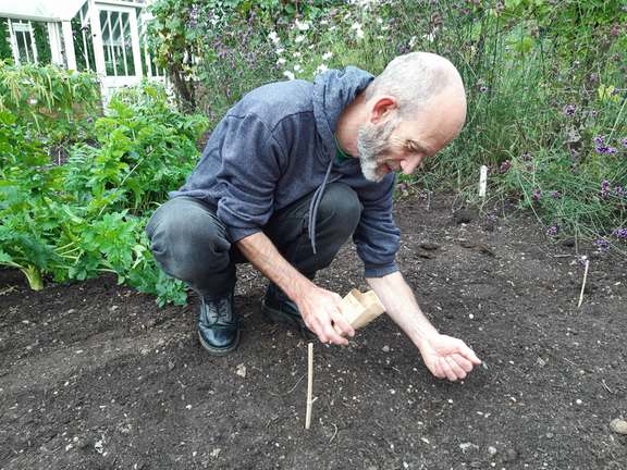 Alternative text should describe the visual content of the image.