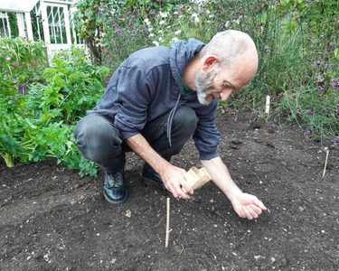 Alternative text should describe the visual content of the image.