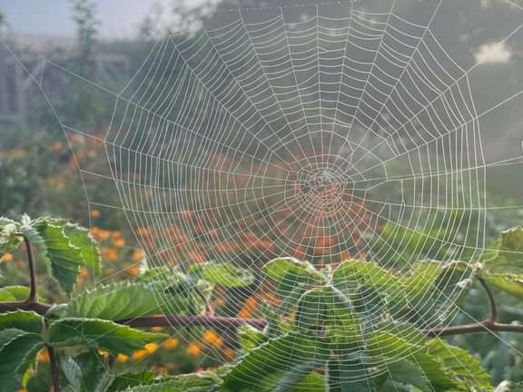 Alternative text should describe the visual content of the image.