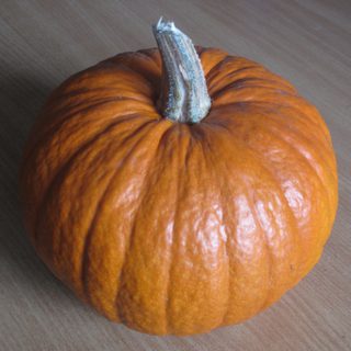 Alternative text should describe the visual content of the image.