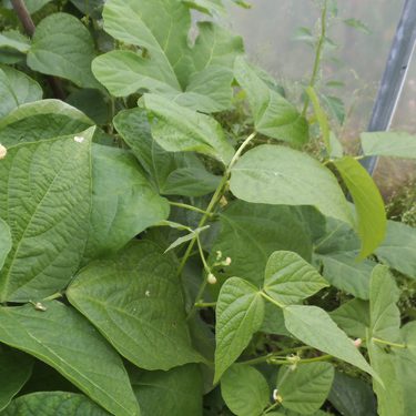 Alternative text should describe the visual content of the image.