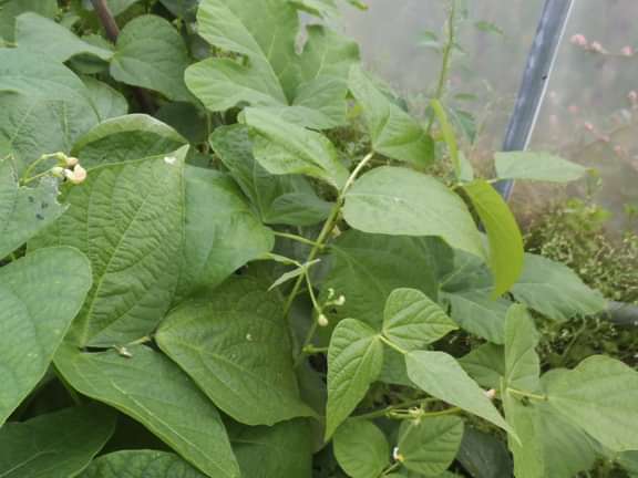 Alternative text should describe the visual content of the image.