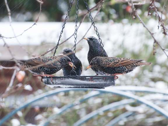 Alternative text should describe the visual content of the image.