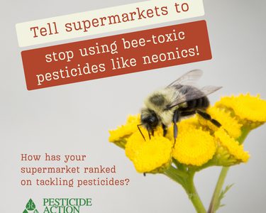 Alternative text should describe the visual content of the image.