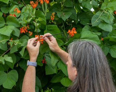 Alternative text should describe the visual content of the image.