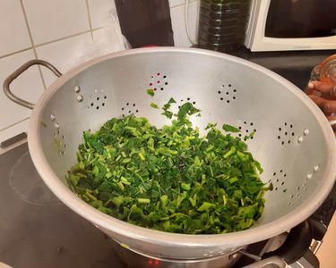 Alternative text should describe the visual content of the image.