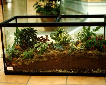 Alternative text should describe the visual content of the image.