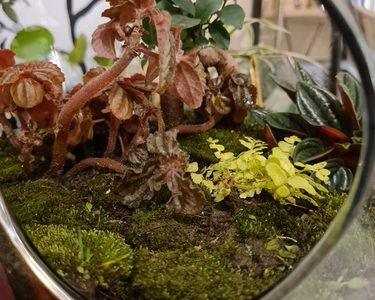 Alternative text should describe the visual content of the image.