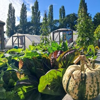 Alternative text should describe the visual content of the image.