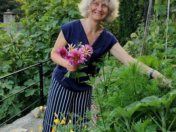 Alternative text should describe the visual content of the image.