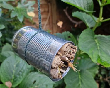 Alternative text should describe the visual content of the image.