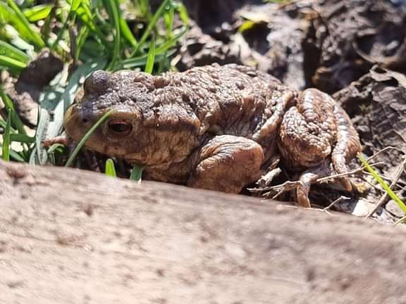 Alternative text should describe the visual content of the image.