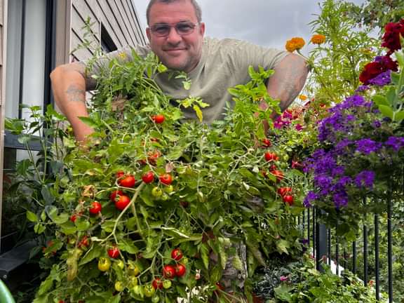 Alternative text should describe the visual content of the image.