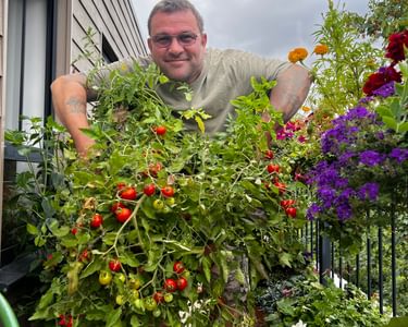 Alternative text should describe the visual content of the image.