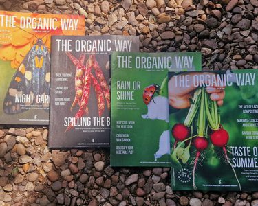 Alternative text should describe the visual content of the image.