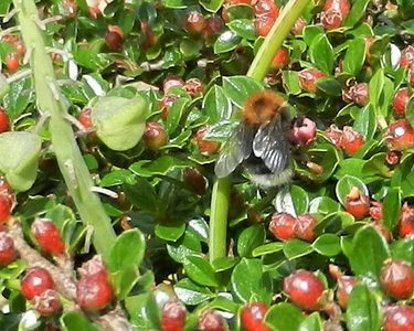 Alternative text should describe the visual content of the image.