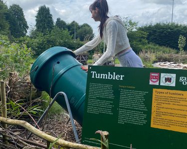 Alternative text should describe the visual content of the image.