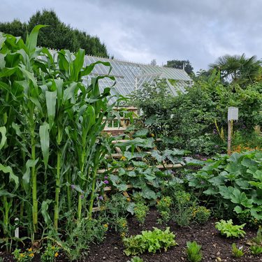 Alternative text should describe the visual content of the image.